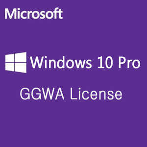 Microsof Windows 10 Pro GGWA 라이선스[5copy 이상 구매가능]