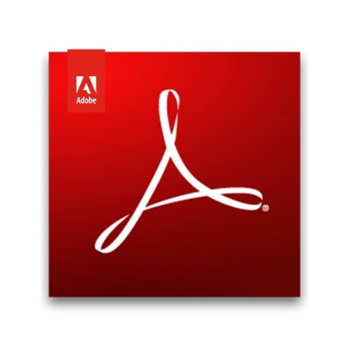 Adobe Acrobat Professional 1년사용라이선스 [아크로벳 프로페셔널]