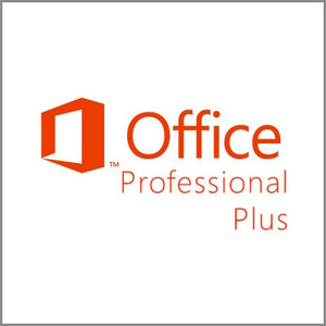 MS Office Professional Plus 2019 라이선스