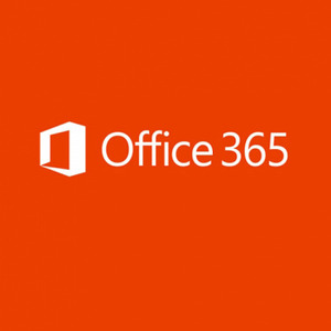 MS Office 365 Business Essentials 1년사용 라이선스