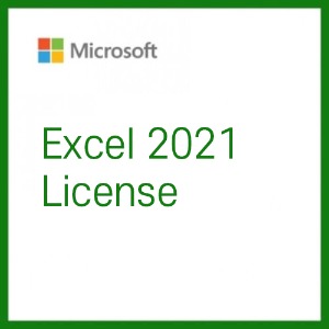 MS Excel 2021 라이선스